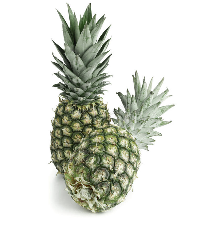 Medalha de prata - Prêmio International FoodTec 2021